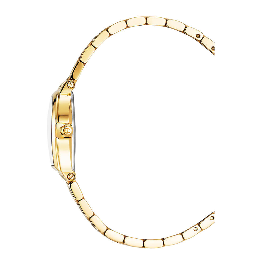Aigner Dogna Ladies Champagne Sunray Brushed  Dial Yellow Gold Stainless Steel Bracelet Watch Aigner Dogna Ladies Champagne Sunray Brushed  Dial Yellow Gold Stainless Steel Bracelet Watch