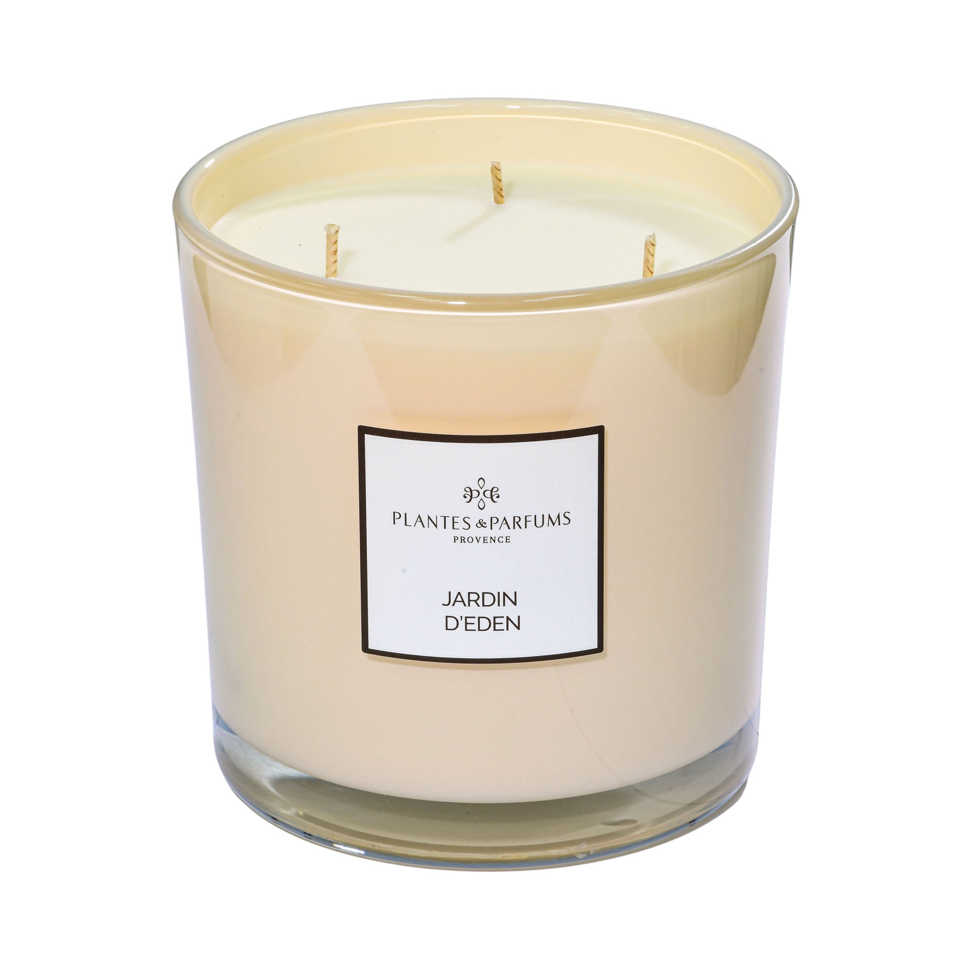 Plantes & Parfums Large Scented Vegetable Candle Prestige Jardin D'Eden 3 Wicks Plantes & Parfums Large Scented Vegetable Candle Prestige Jardin D'Eden 3 Wicks